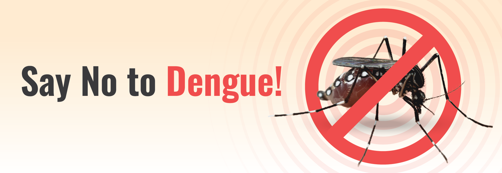 8th Anniversary Special Package - BTMC