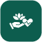 Holistic Approach Icon