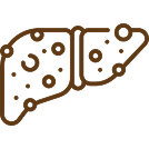 Fatty Liver